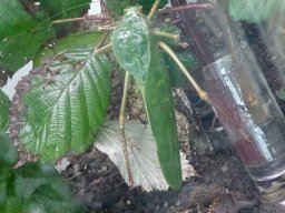 Haus des Meeres 13.03.2026